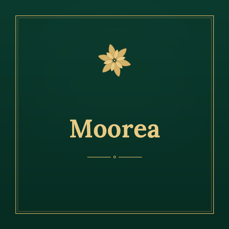 Moorea – ostrov ve Francouzské Polynésii kousek od Tahiti